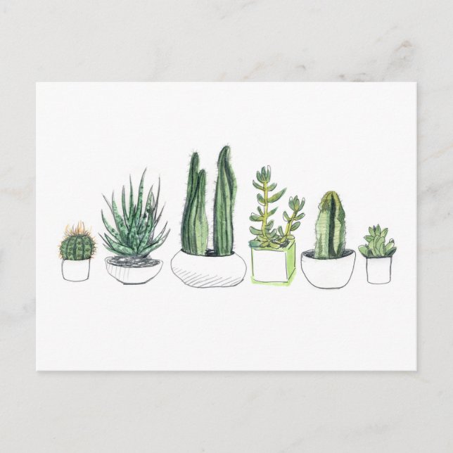 Watercolour Cacti & Succulents Postcard (Front)