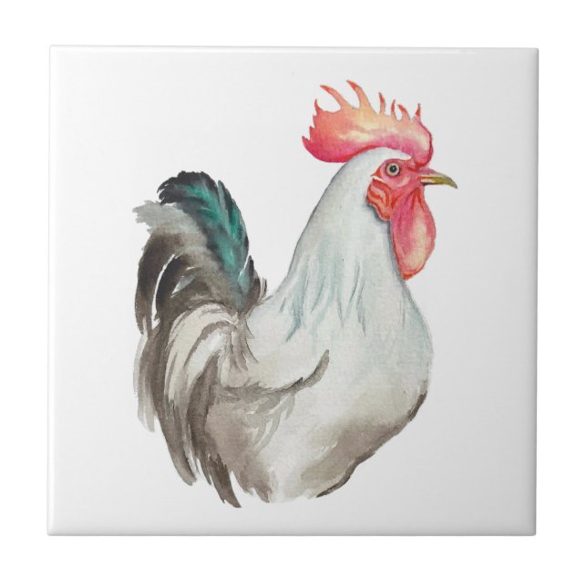 Watercolour hand drawing of a Rooster Ceramic Tile (Front)