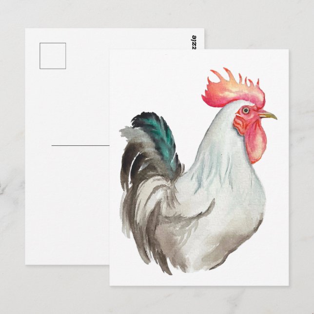 Watercolour hand drawing of a Rooster Postcard (Front/Back)