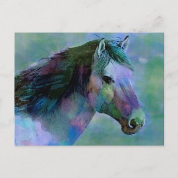 Watercolour Horse Postcard by Brouhaha_Bazaar at Zazzle