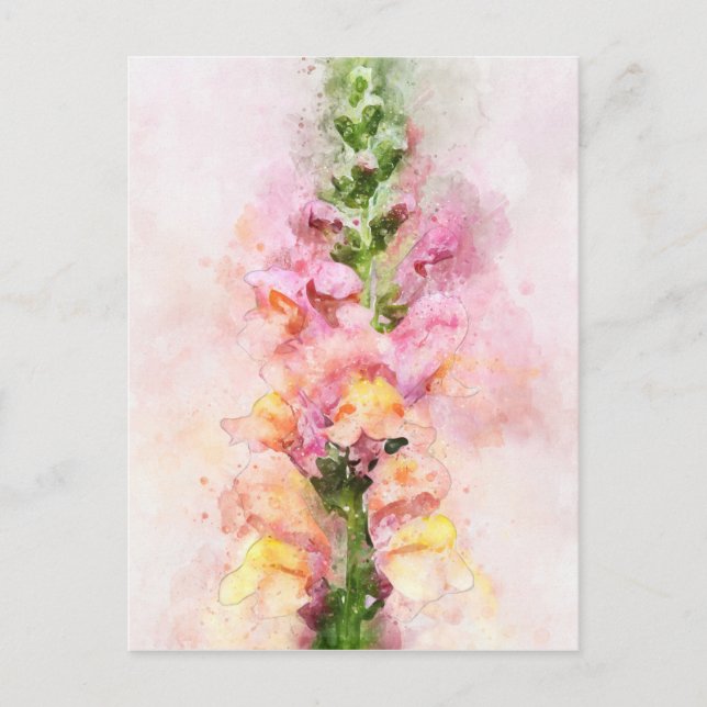 Watercolour of a snapdragon flower postcard (Front)