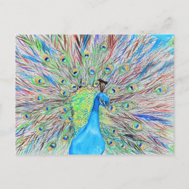 Watercolour Peacock Painting Postcard (Front)
