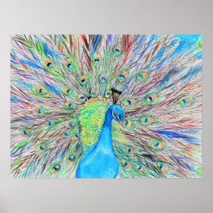 Watercolour Peacock Painting Poster