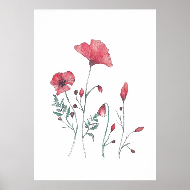 Watercolour poppy flowers poster (Front)