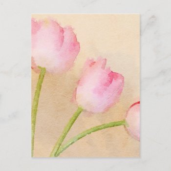 Watercolour Tulip Flower Painting Postcard by LittleLittleDesign at Zazzle