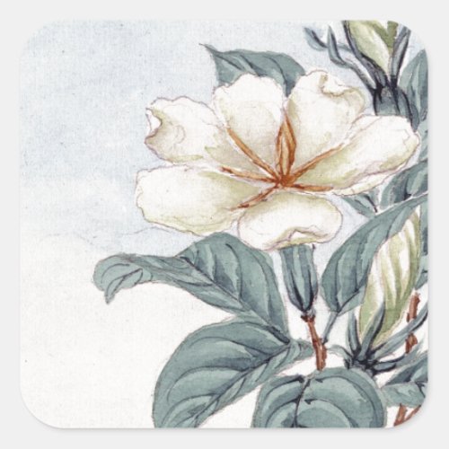 Watercolour White Jasmine Flower Square Sticker