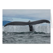 Waterfall (Front Horizontal)