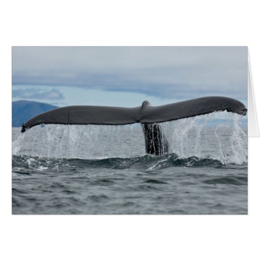 Waterfall (Front Horizontal)