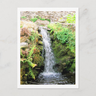Waterfall 6 Venezuela Jungle Landscape Fine Art Postcard