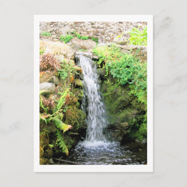 Waterfall 6 Venezuela Jungle Landscape Fine Art Postcard (Front)