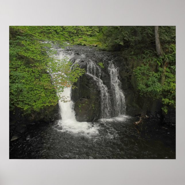 Waterfall and Green Leaves Nature Photo            Poster (Front)