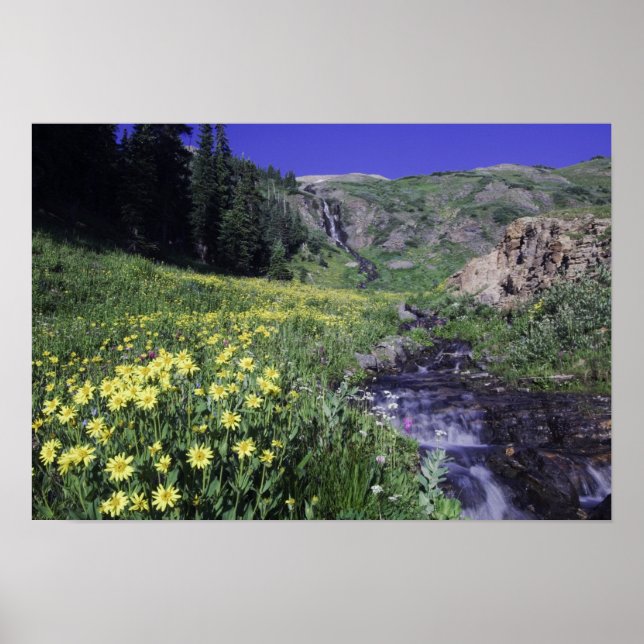 Waterfall and wildflowers in alpine meadow, 2 poster (Front)