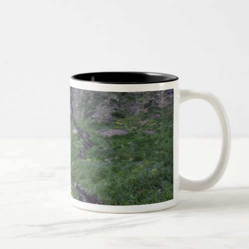 Waterfall and wildflowers in alpine meadow 3 Two_Tone coffee mug