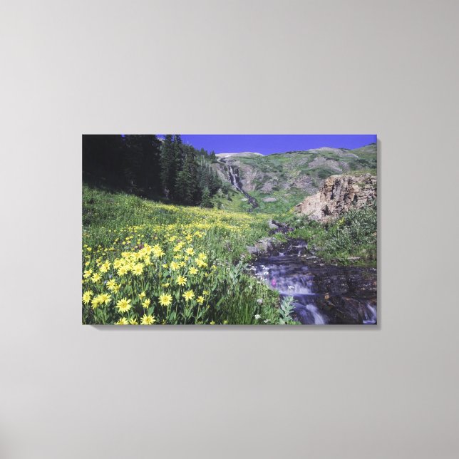 Waterfall and wildflowers in alpine meadow, canvas print (Front)