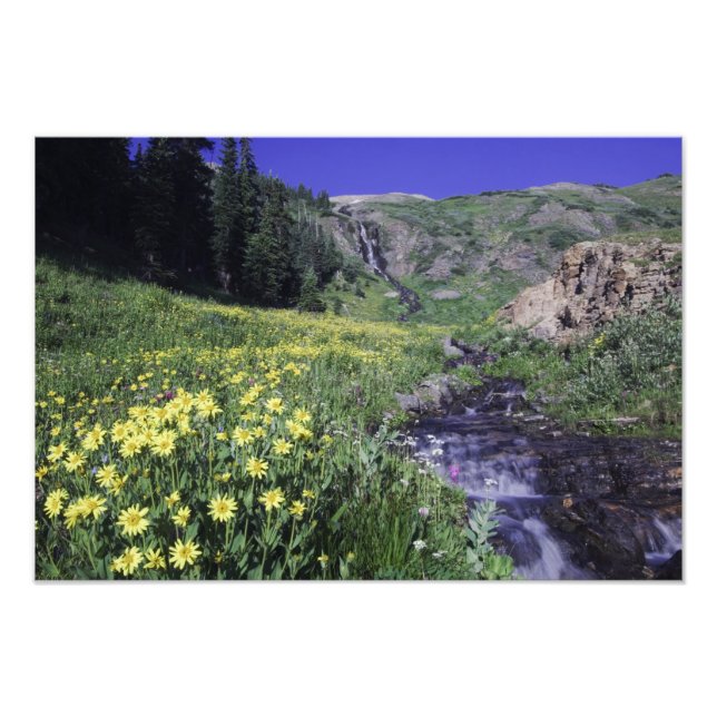 Waterfall and wildflowers in alpine meadow, photo print (Front)