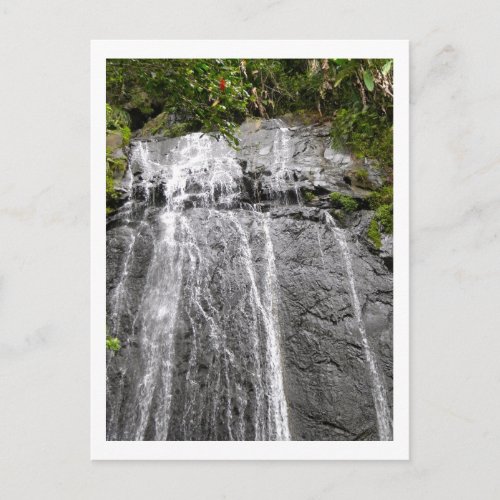 Waterfall at El Yunque National Rainforest Postcard