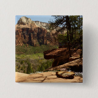 Waterfall at Emerald Pools in Zion National Park Button