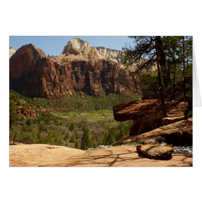 Waterfall at Emerald Pools in Zion National Park Cards (Front Horizontal)
