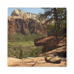 Waterfall at Emerald Pools in Zion National Park Magnet