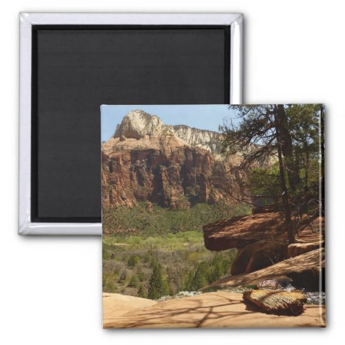 Waterfall at Emerald Pools in Zion National Park Magnet