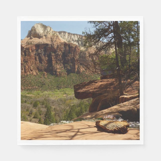 Waterfall at Emerald Pools in Zion National Park Paper Napkins (Front)