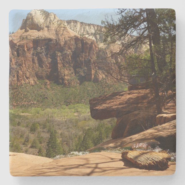Waterfall at Emerald Pools in Zion National Park Stone Coaster (Front)