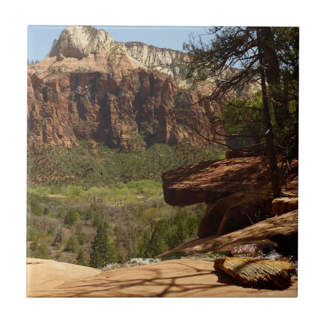 Waterfall at Emerald Pools in Zion National Park Tile (Front)