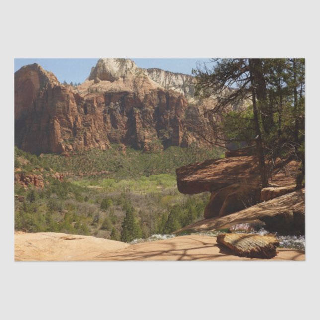 Waterfall at Emerald Pools in Zion National Park Tissue Paper (Front)