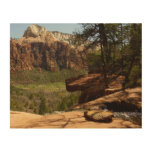Waterfall at Emerald Pools in Zion National Park Wood Wall Art