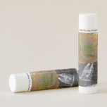 Waterfall at Laurel Hill State Park I Lip Balm