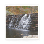 Waterfall at Laurel Hill State Park I Napkins