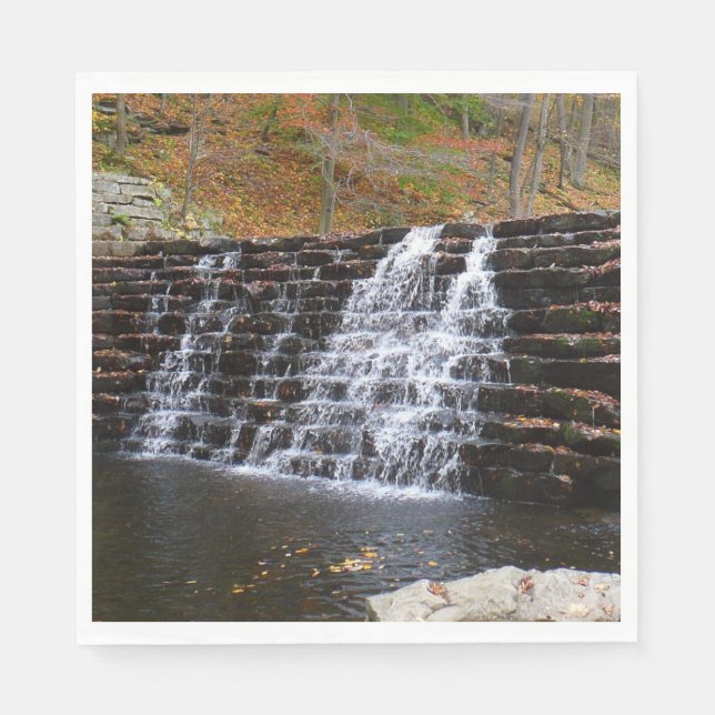 Waterfall at Laurel Hill State Park I Napkins (Front)