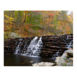 Waterfall at Laurel Hill State Park I Poster