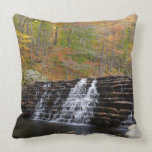 Waterfall at Laurel Hill State Park I Throw Pillow