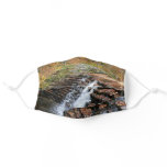 Waterfall at Laurel Hill State Park II Adult Cloth Face Mask