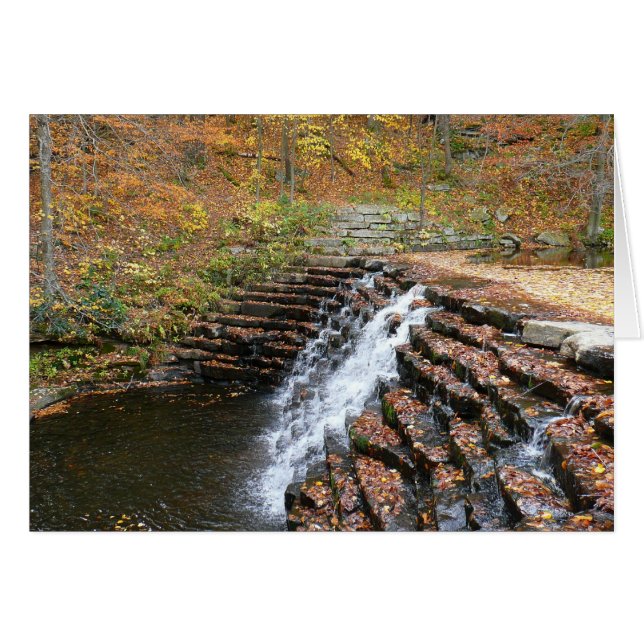 Waterfall at Laurel Hill State Park II Cards (Front Horizontal)