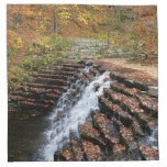 Waterfall at Laurel Hill State Park II Cloth Napkin