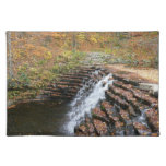 Waterfall at Laurel Hill State Park II Cloth Placemat