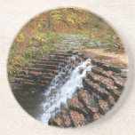 Waterfall at Laurel Hill State Park II Coaster