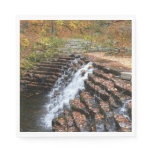Waterfall at Laurel Hill State Park II Paper Napkins
