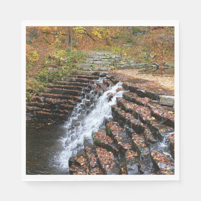 Waterfall at Laurel Hill State Park II Paper Napkins (Front)