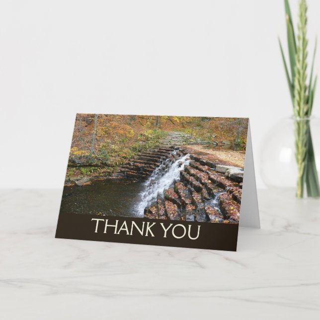 Waterfall at Laurel Hill State Park II Thank You Card (Front)