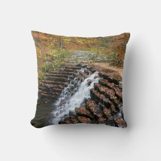 Waterfall at Laurel Hill State Park II Throw Pillow