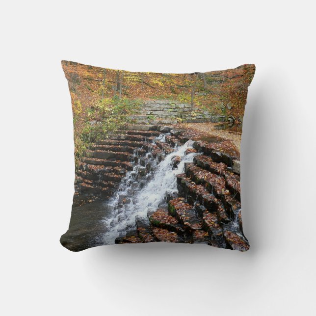 Waterfall at Laurel Hill State Park II Throw Pillow (Front)