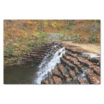 Waterfall at Laurel Hill State Park II Tissue Paper