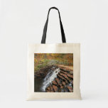 Waterfall at Laurel Hill State Park II Tote Bag