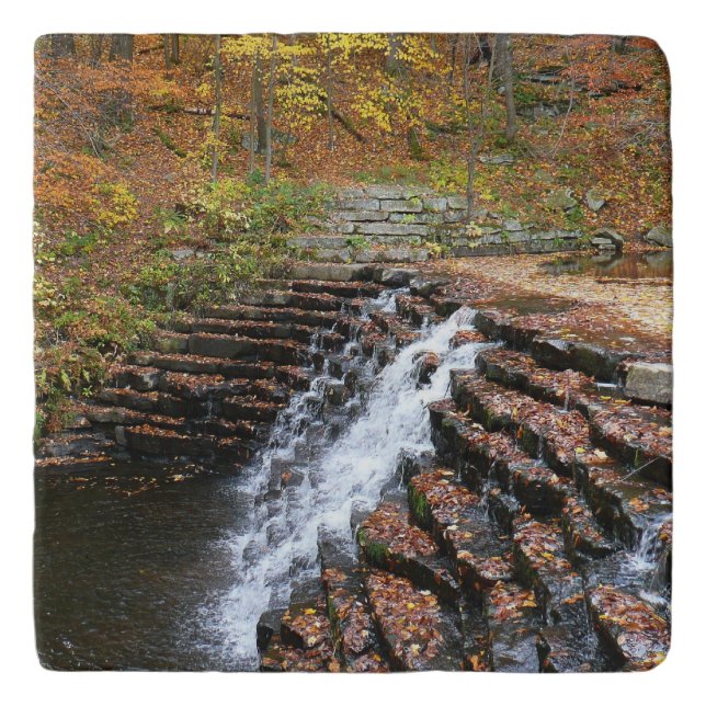 Waterfall at Laurel Hill State Park II Trivet (Front)
