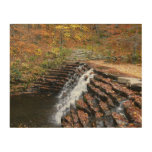 Waterfall at Laurel Hill State Park II Wood Wall Art