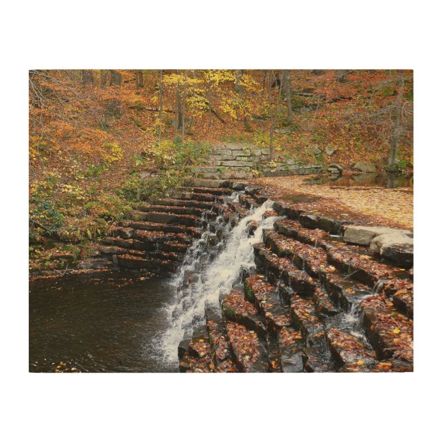 Waterfall at Laurel Hill State Park II Wood Wall Art (Front)