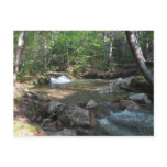 Waterfall at Pemigewasset River I Postcard